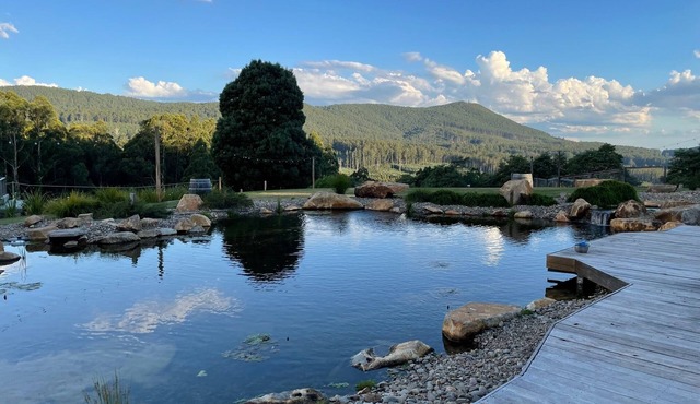 Stunning Country Property within easy reach of Melbourne in Toolangi