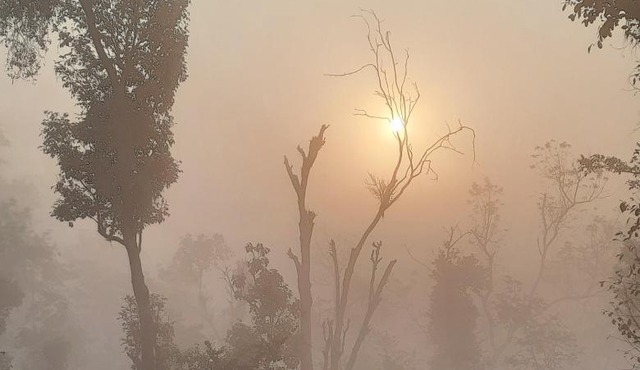 Sunrise Homestay, Nagarahole