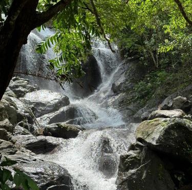 Sunset Valley Kerala Pool Resort - Monsoon Forest Cottage Stay in Idukki with Private Waterfalls, Natural Streams & Breathtaking Views