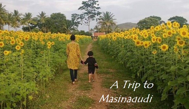 Surrounded by Greenery view Home Stay @ masinagudi
