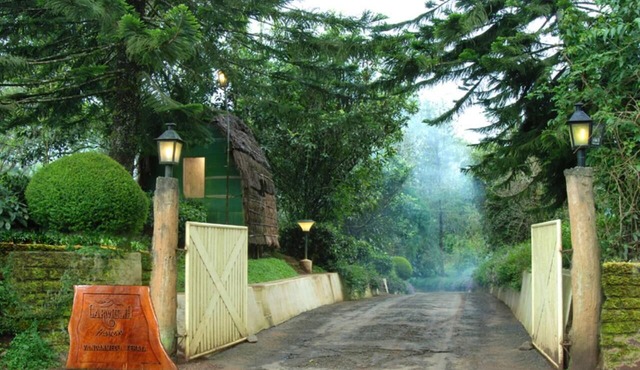 Surrounded Grassland Tree house Stay