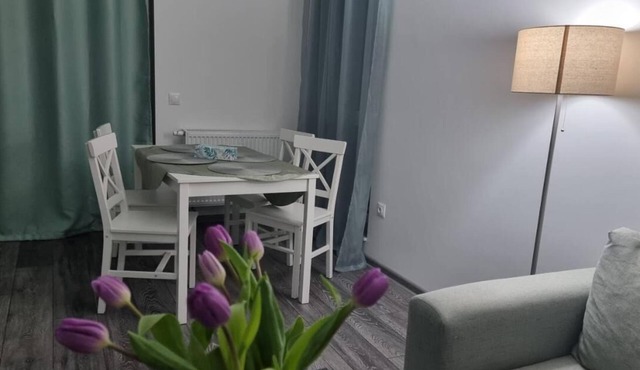 Swan Brasov Apartment