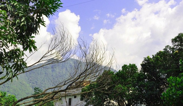 Swiss Cottage in Tapovan