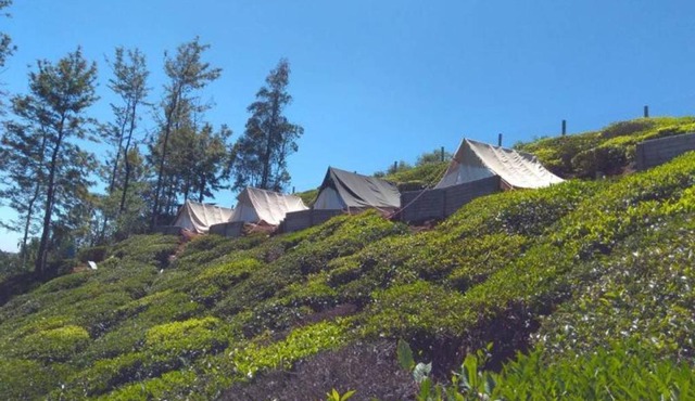 Swiss Tents in Ooty, Tn