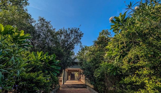 Syna Jungle Resort - Shahdar
