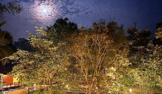 Taal Tiger Resort