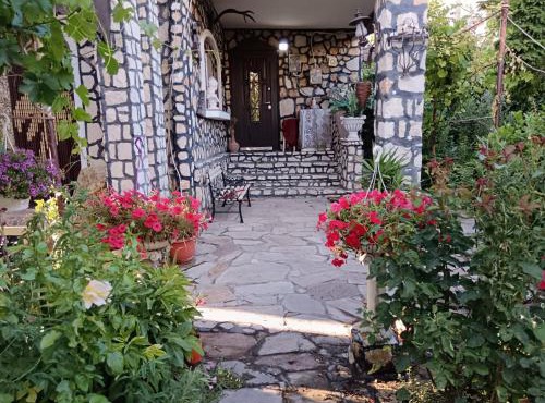 Tarra Studio11