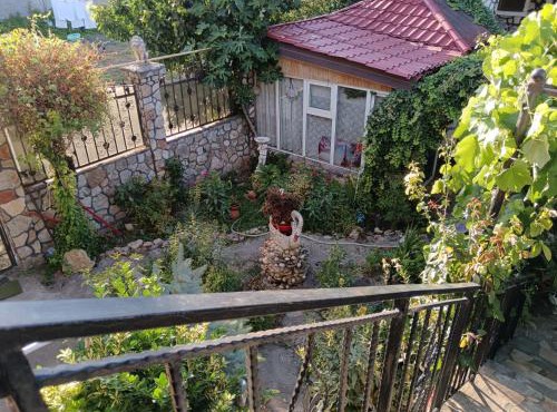 Tarra Studio16 in Mangalia