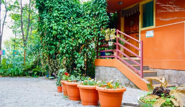 Tat Tvam Asi Organic Farm Stay - Robin