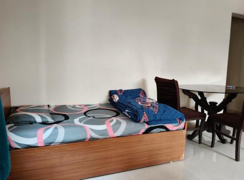 Tathwade 1bhk prolife
