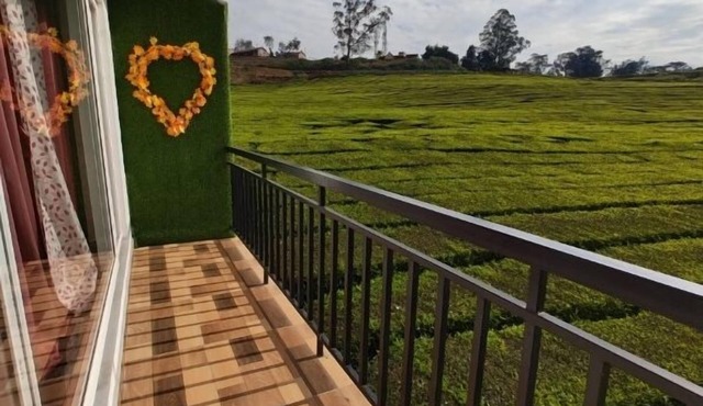 Tea Garden stays