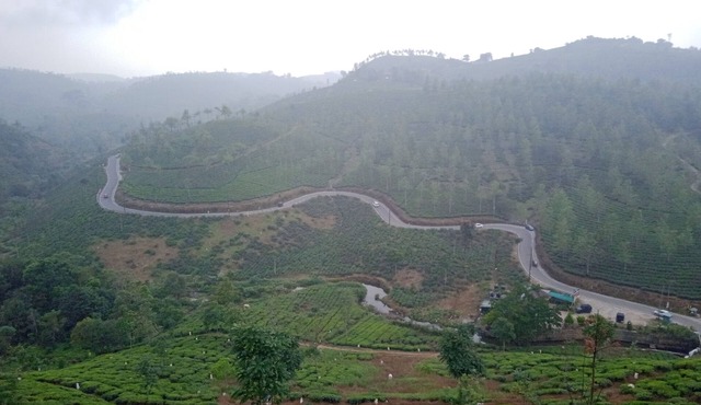 Tea Haven Homestay