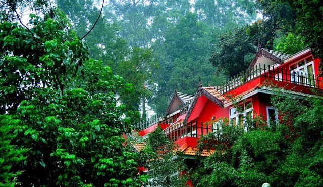 Tea Valley Resort, Munnar