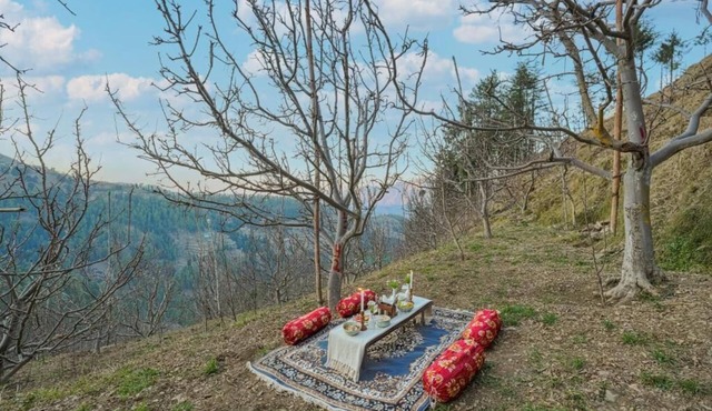 The Bagh Kufri
