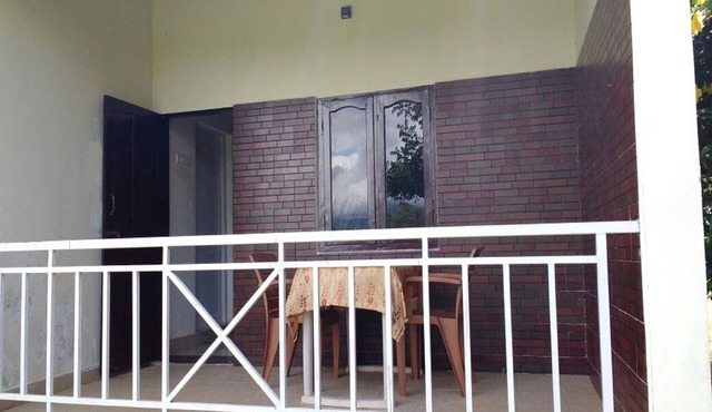 The Big Cat Den Resort