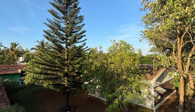 The Big Cat's Den - Maravakandy Resort, Masinagudi