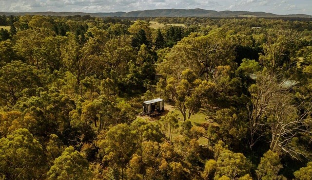 The Clearing by Tiny Away in Bungonia