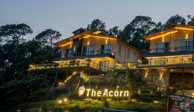 The Cozy Acorn Resort
