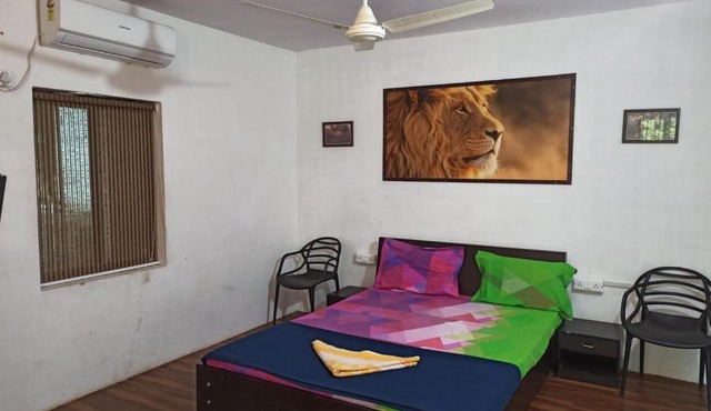 The Gir Lion