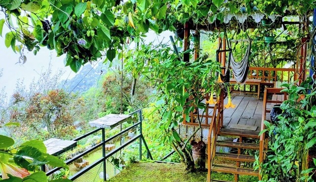 THE KODAI HAVEN