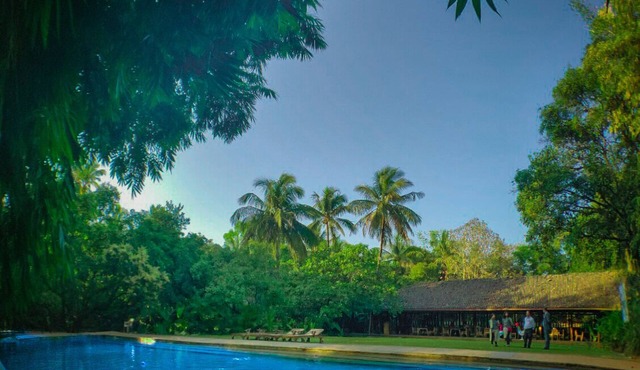 The Orchard Resort