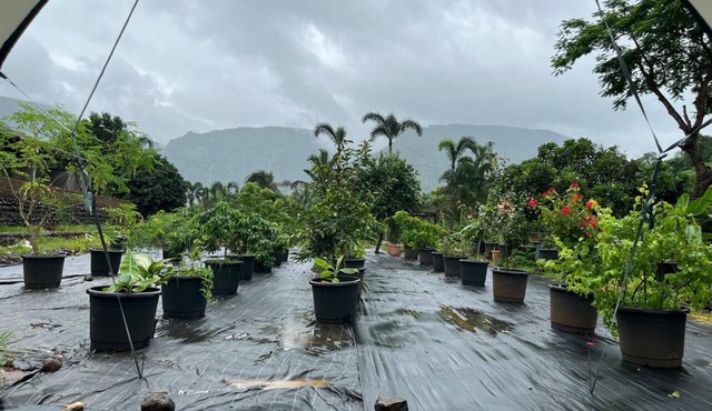The Riverstone Agro Farm