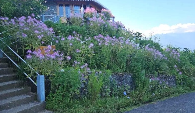 The Serene Acres, Farm & Stay