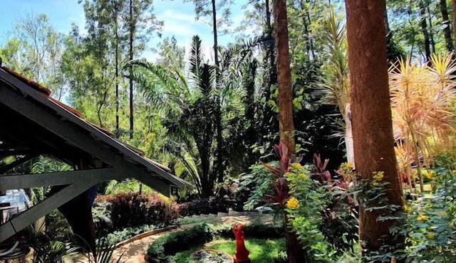 The Spectrum Resort