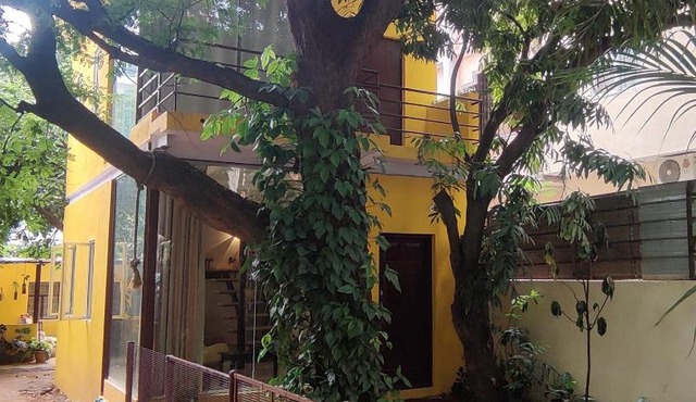 The Sunshine Bungalow
