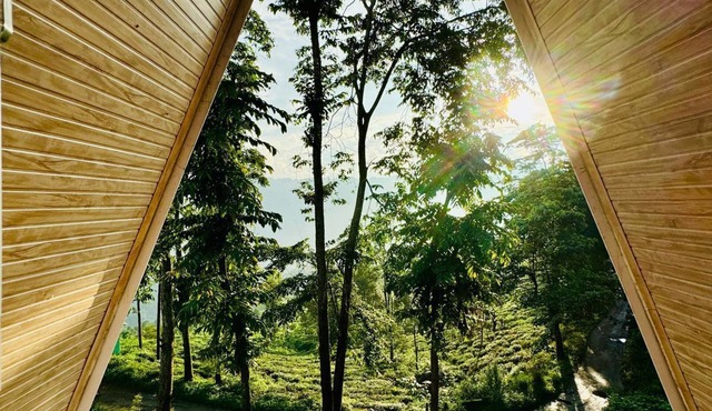 The Tea Tribe Stay - Offbeat Darjeeling