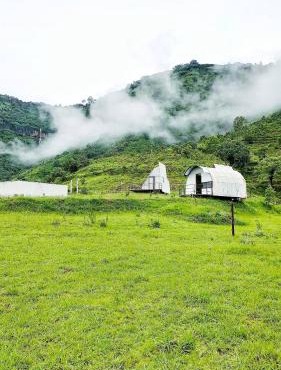 The Tribe Panchgani
