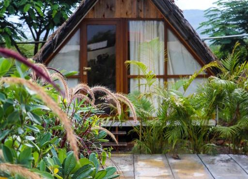 The Vintage Farm, Nashik