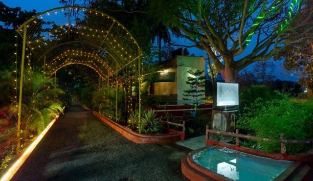The Whistling Pine Woods