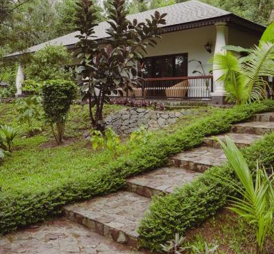 The Wild Rest Nature Resort