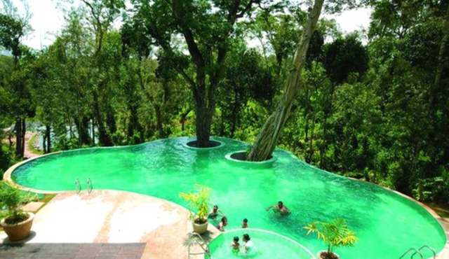 The Windflower Resorts & Spa
