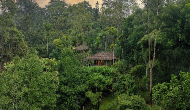 The Woods Resorts Wayanad