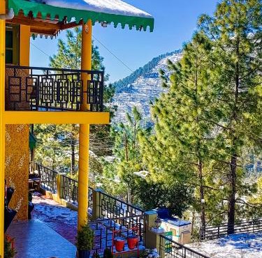 THEHIMALAYANLIVING WHISTLING PINES
