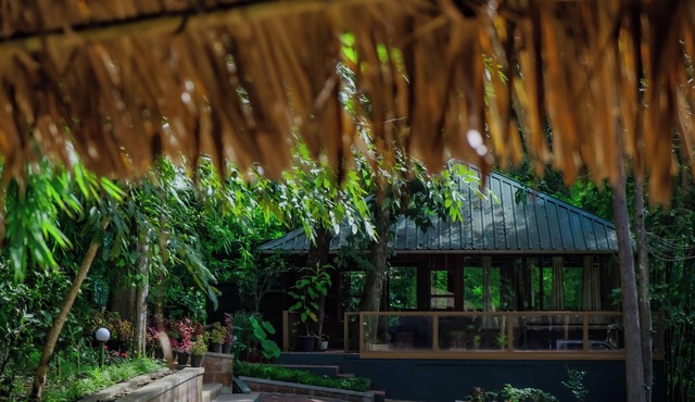 Thennal Jungle Camp Pvt Ltd