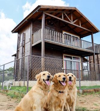Therpup Resort