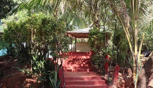 This Is It Jungle Maze Hostel
