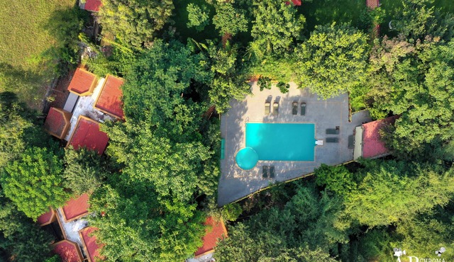 Tiger King Resort