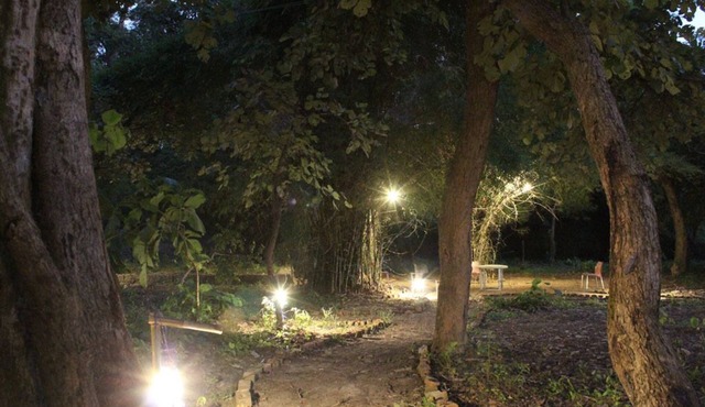 Tigers Villa Resort Bandhavgarh