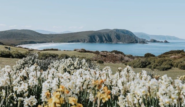 Tiny Percival Summary in South Bruny