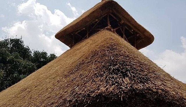 Tree and Mud House