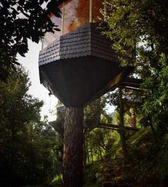 Treecasa Resort