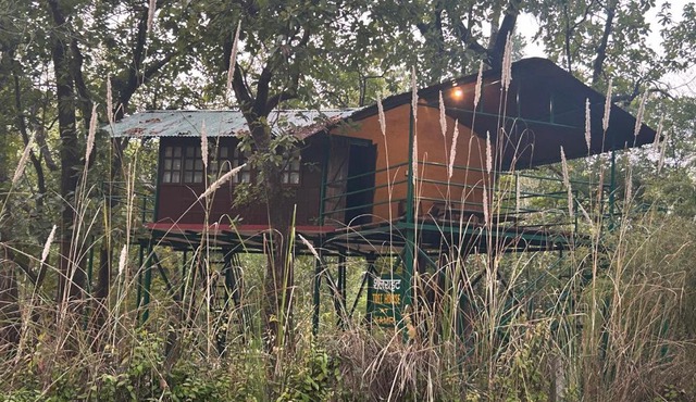Treehouse at Kamp