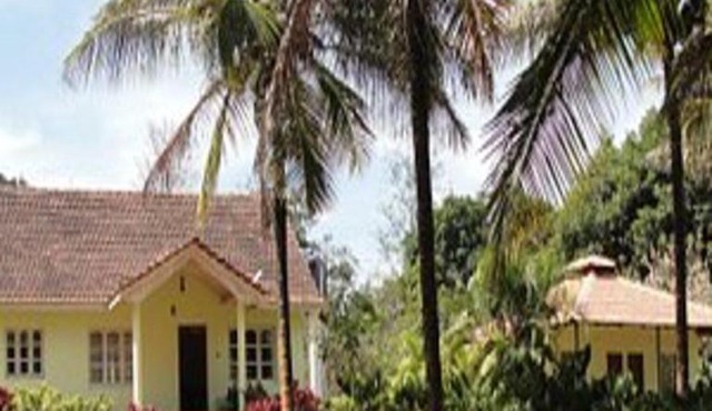 TripThrill Hasiru Homestay