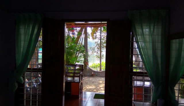 Tropical Dream