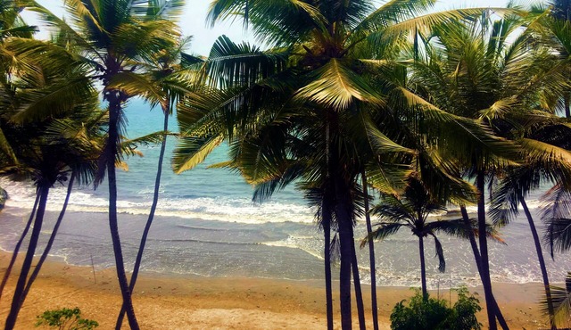 TROPICAL VIBES 5BHK Luxury Beach House