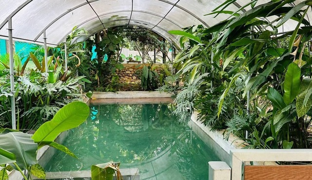 Tuesday Farm Stay